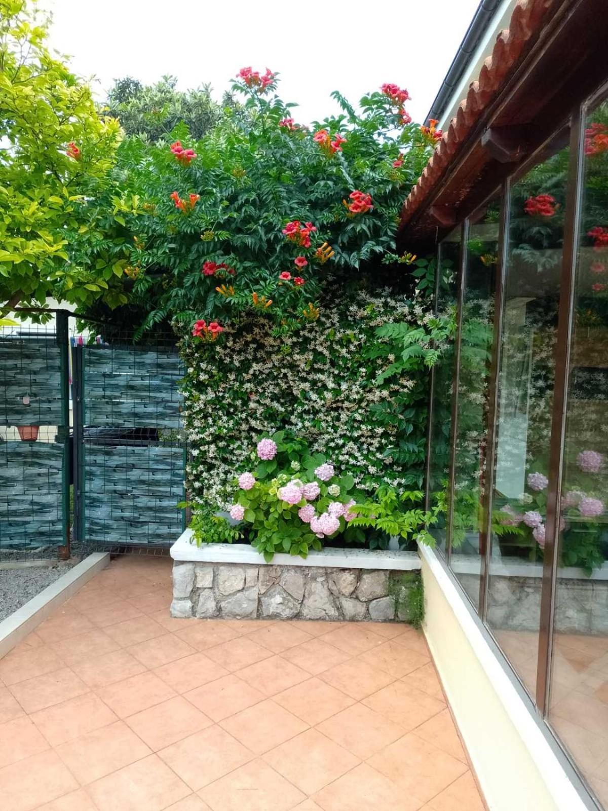 Apartment Ela, Kostrena Rijeka Buitenkant foto